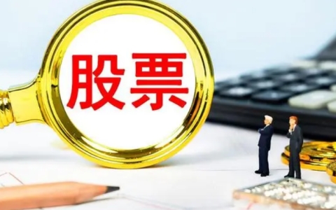 2 投资项目选择：港商在获得资金后